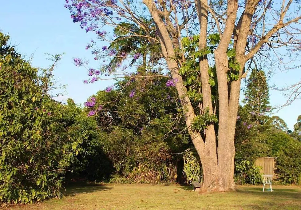 Villa A Heavenly Haven In Maleny Ferienhaus